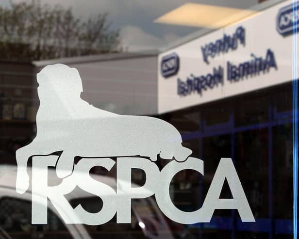 The RSPCA logo, Photo from PA Images/ Sam Dempsey