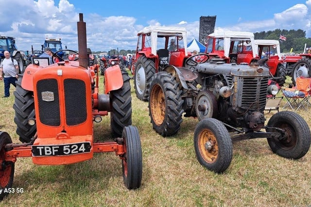 Tractors were among the many exhibits at the Steam Rally.