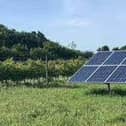 Solar panels photo used for illustrative purposes