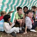 Cubs getting ready for shelter building