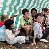 Cubs getting ready for shelter building