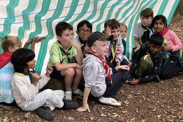 Cubs getting ready for shelter building