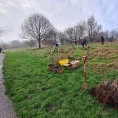 Tree planting in Heartlands Park last year