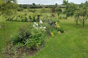 One of the Thornborough gardens opening on June 10 and 11