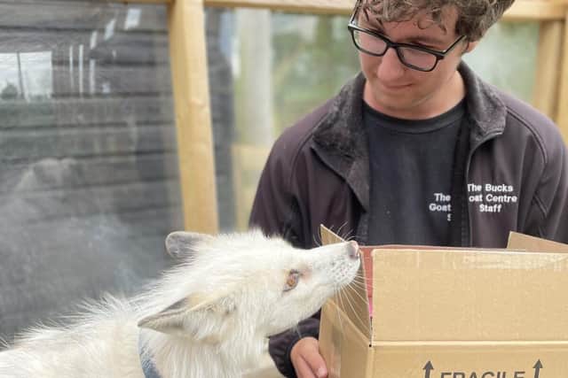 Jasper and Adam with a delivery - Animal News Agency