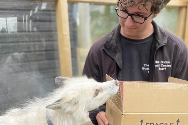 Jasper and Adam with a delivery - Animal News Agency 