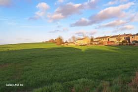 Land behind the Crescent and Stepnells: A site for almost 90 homes in the draft Local Plan.
