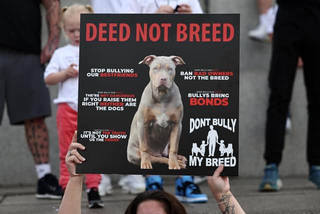 A recent protest against the ban was held in London. (Photo by HENRY NICHOLLS / AFP) (Photo by HENRY NICHOLLS/AFP via Getty Images)