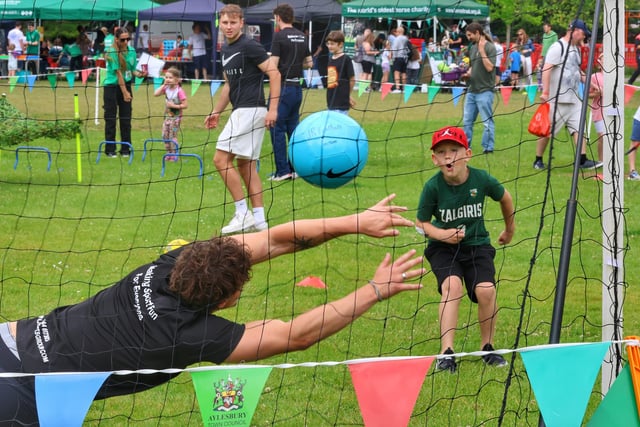 Back of the net. Photo by Damon Mitchell