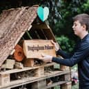 Why not build a bug hotel during Great Big Green Week
