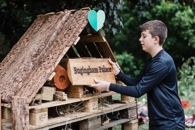 Why not build a bug hotel during Great Big Green Week