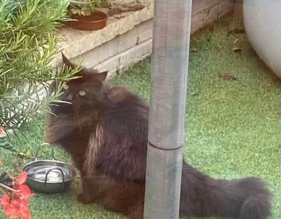 She was taken from the drive of a property in Aylesbury