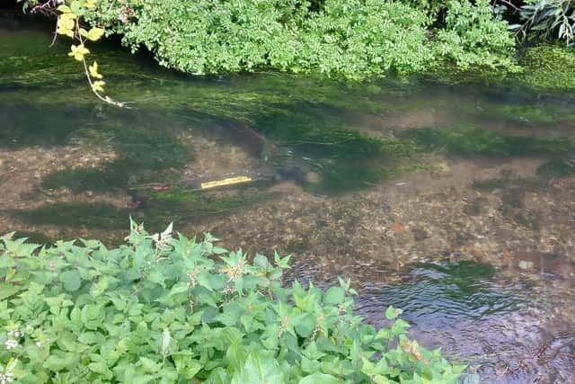 A e-scooter found dumped in a Bucks river