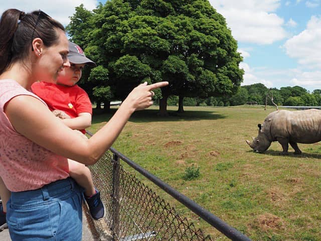 Whipsnade Zoo is the perfect day out this May Half Term.