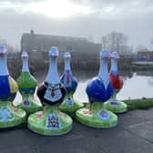 The seven ducks families will be searching for in Aylesbury this Easter