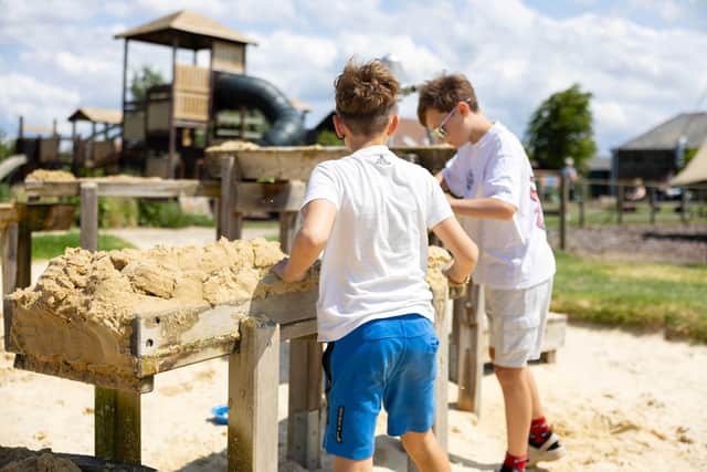 Summer on the Farm