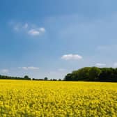 Applications will be assessed by a panel assembled by the council