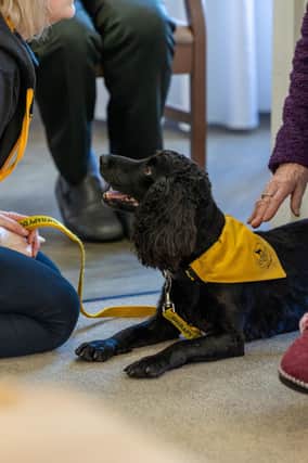 Ruby the therapy dog at Bartlett's Residential Care Home