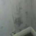 the mould in question
