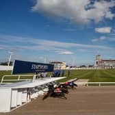 Towcester will host the Greyhound Derby for the fifth year in a row