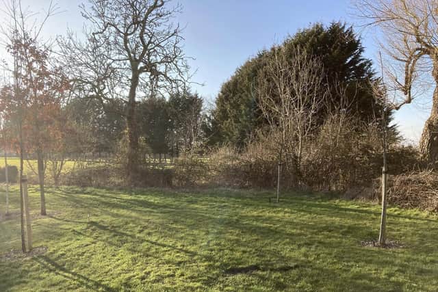 The land earmarked for development