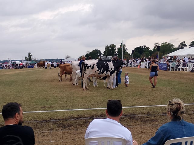 Taking part in the parade.