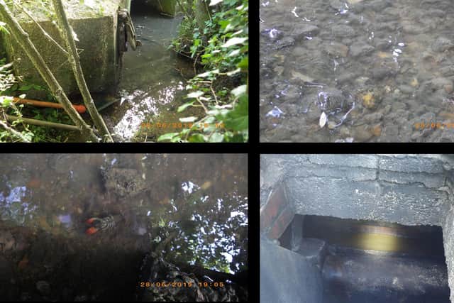 Some images of the pollution incidents which led to Anglian Water being fined