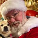 Dan Dan was saved from the dog meat trade - Animal News Agency 