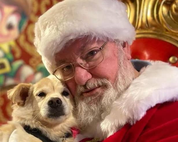 Dan Dan was saved from the dog meat trade - Animal News Agency 