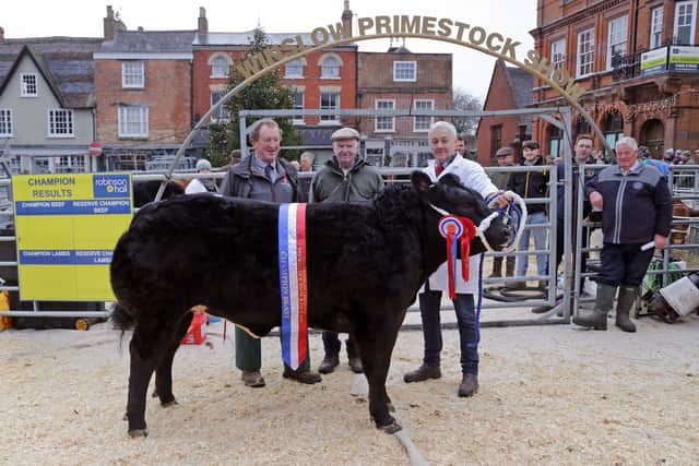 The Champion Animal of the day was bought by The Bell Hotel for £3,800