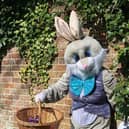 The Easter Bunny that will visit the Saturday street markets