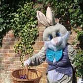 The Easter Bunny that will visit the Saturday street markets