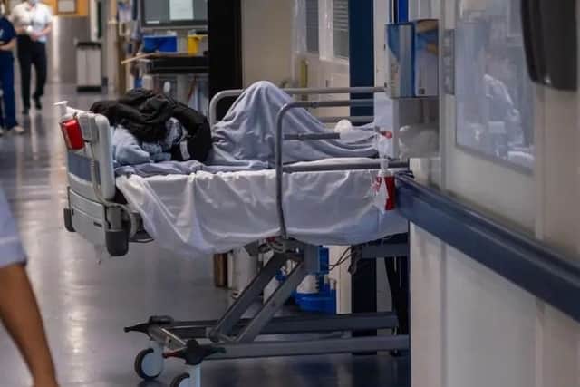 Dozens of people died from the heat in the Thames Valley last year, according to figures from the UK Health Security Agency