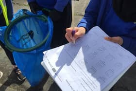 Completing the litter survey with bags in hand.