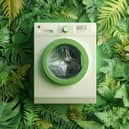 Eco-friendly washing (photo: Adobe)