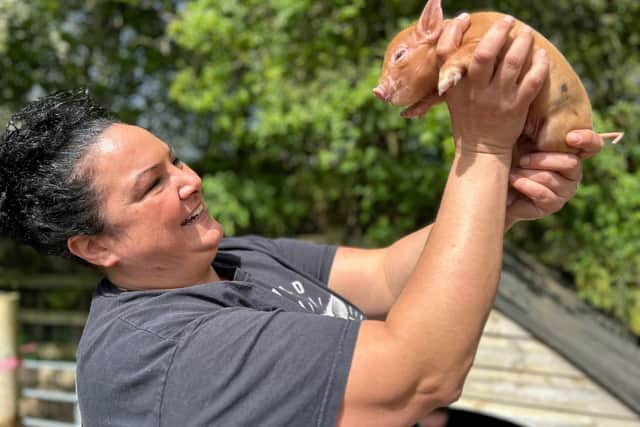 Olivia Mikhail is giving this advice to potential piggy pet parents - Animal News Agency