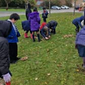 Students from Lace Hill Academy planting bulbs 