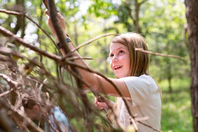 Den-building at Stonor