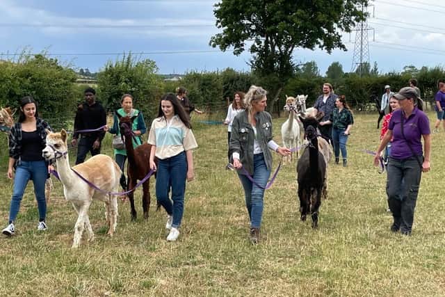 Students on the walk at Animal Antiks