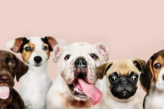 Picture: Shutterstock