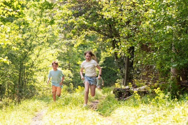 Enjoy a Wild Summer at Stonor Park
