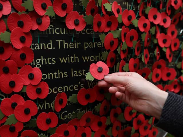 A person holds a poppy as they look at a wall made of 10,000 remembrance poppies following the RBL's Poppy Appeal 2022 (photo: Getty Images)