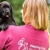A volunteer with Hearing Dog puppy