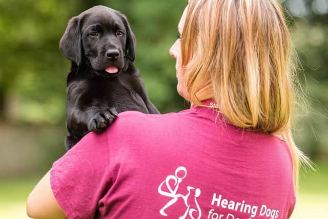 A volunteer with Hearing Dog puppy