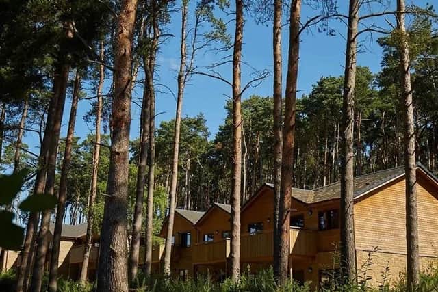 Centre Parcs at Woburn Forest lodges. Photo: Centre Parcs