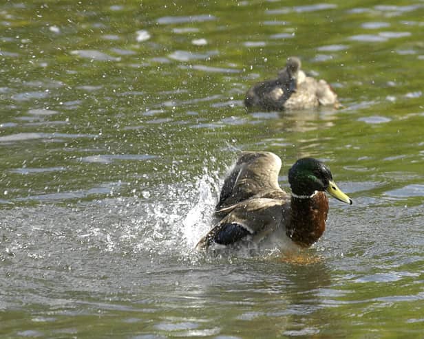 Hundreds of water pollution incidents were recorded in Buckinghamshire, photo from Clive Gee PA Images