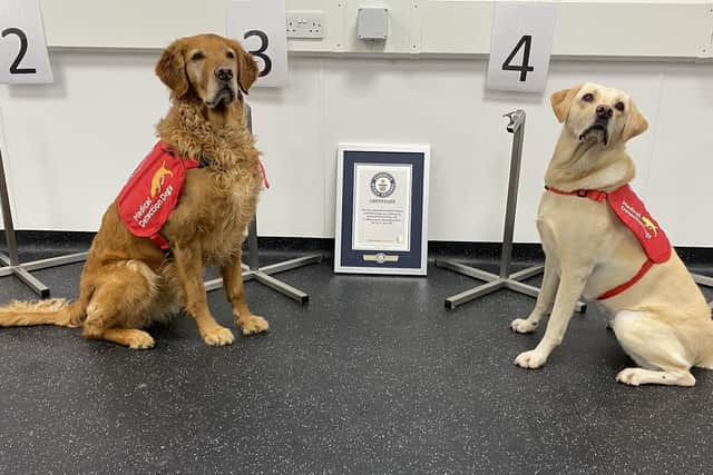 Two of the record-breaking Medical Detection Dogs