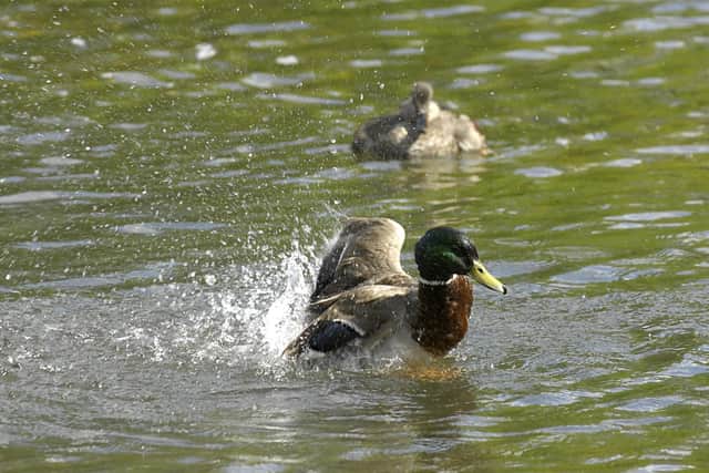 Sewage figures doubled in Buckinghamshire last year, photo from Clive Gee/PA Images