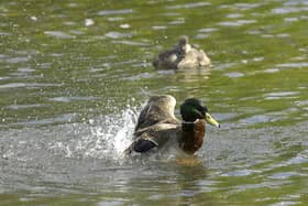 Sewage figures doubled in Buckinghamshire last year, photo from Clive Gee/PA Images