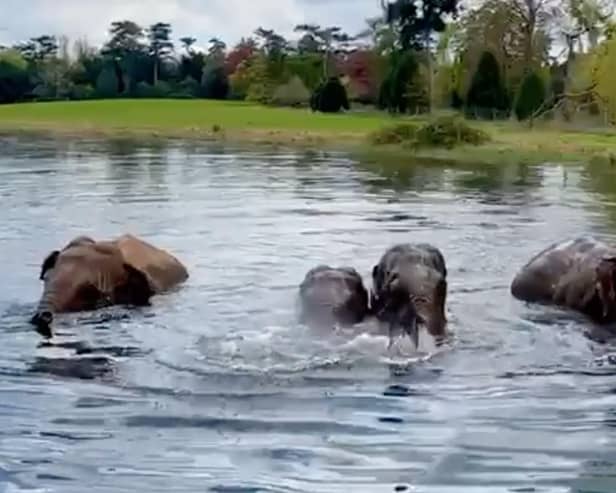 The ladies enjoying a dip